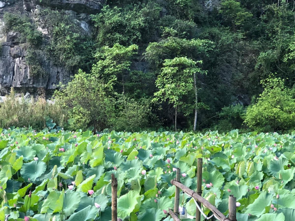 Trang An River View Homestay Ninh Binh Bagian luar foto